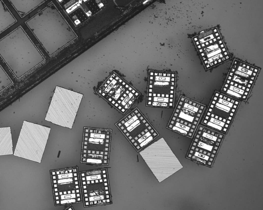 These Robots Are the Size of Single Cells and Cost Just a Penny Apiece Microscopic robots that can sense temperature and move autonomously