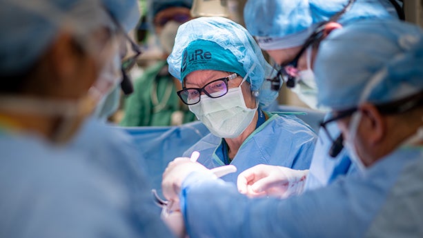 Surgeons in a trial testing in utero stem cell treatment of spina bifida.