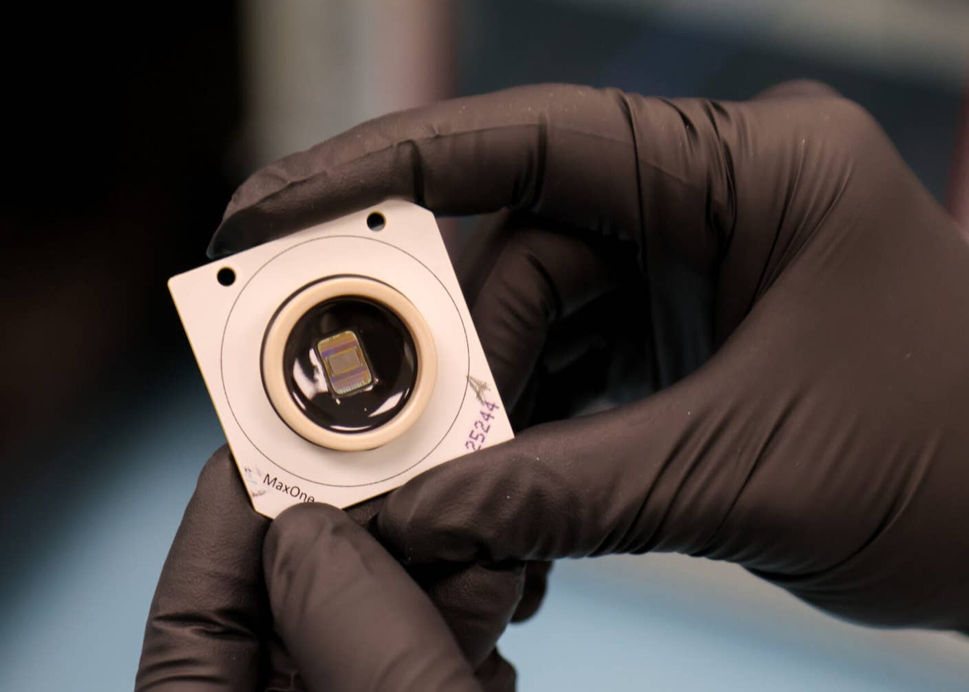 These Mini Brains Just Learned to Solve a Classic Engineering Problem A chip used to train brain organoids to solve a classic engineering problem