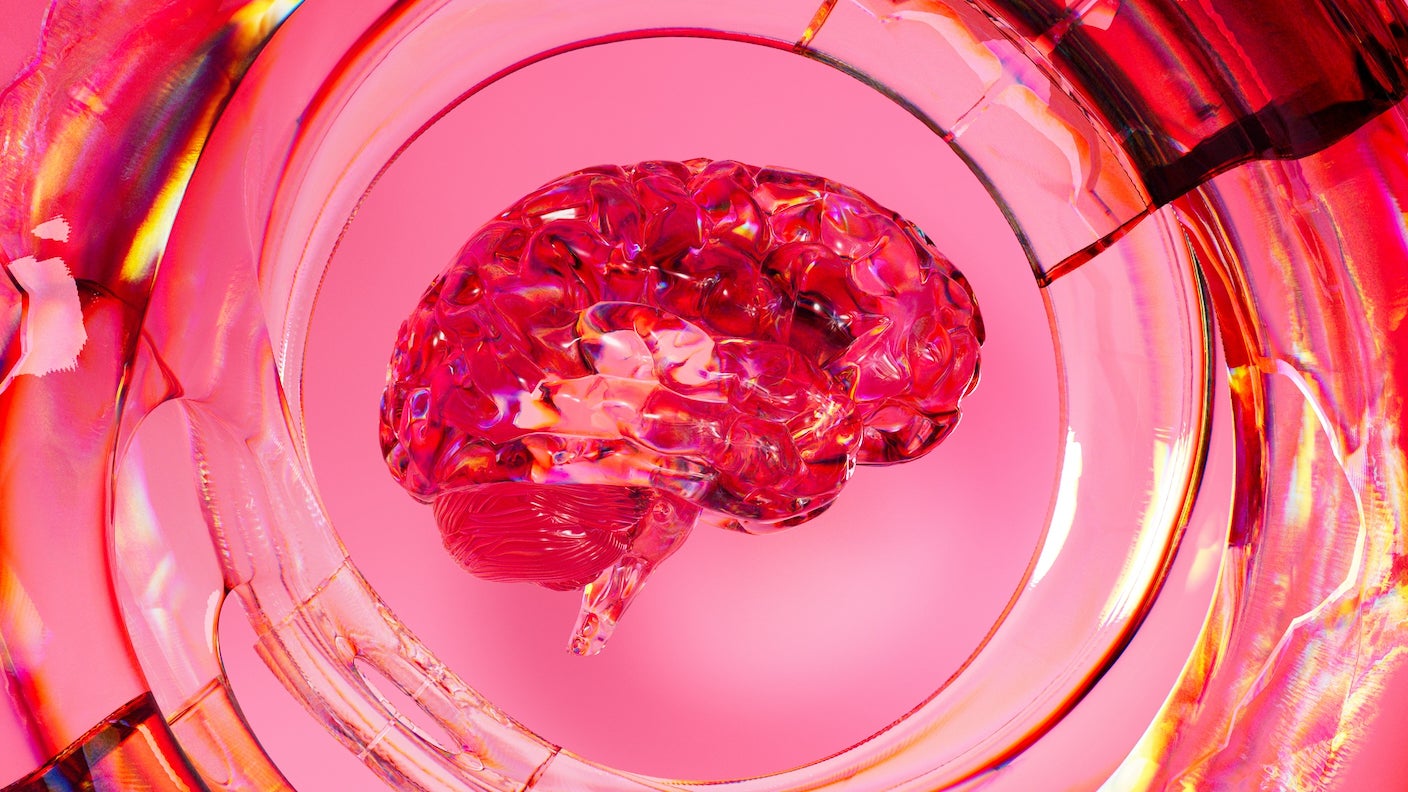 A digital image of a glasslike brain