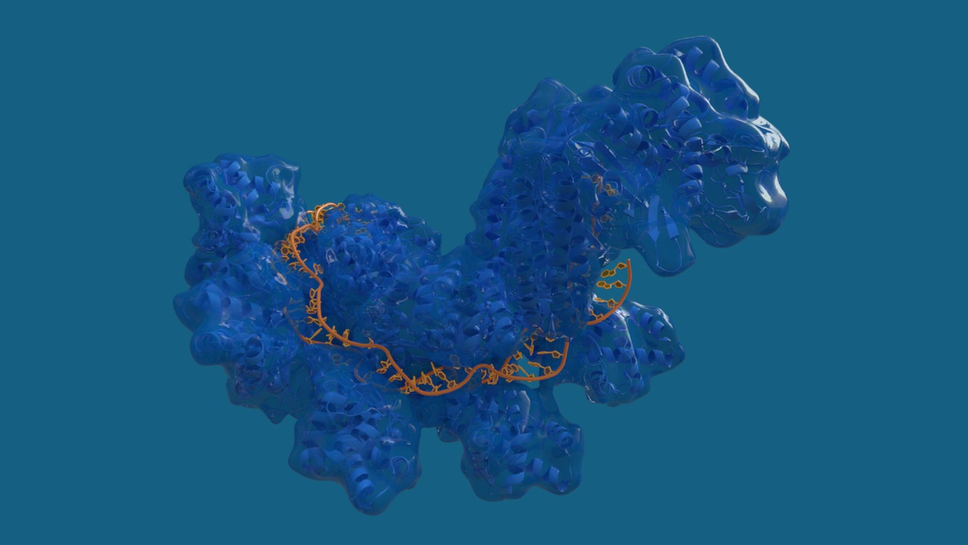 CRISPR Cas protein with DNA target