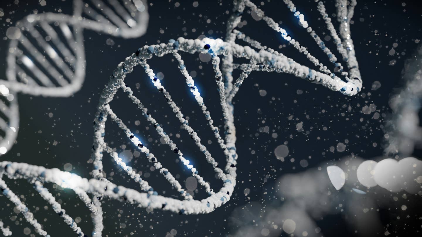 Million-Person Study Finds a Rare Gene Variant That Slashes the Risk of Diabetes and Heart Disease Illustration of DNA strands