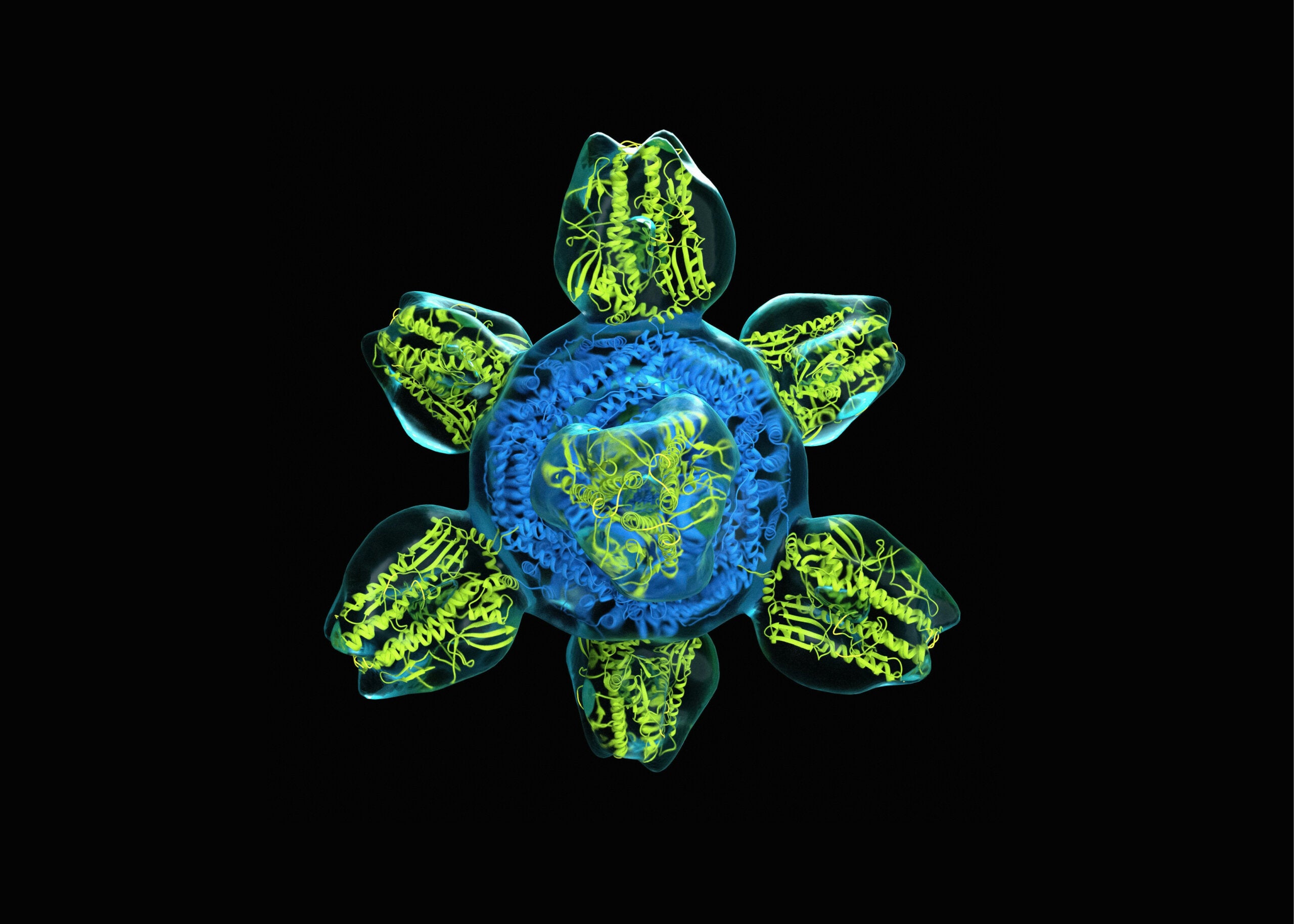 Biology Needs an AI Declaration