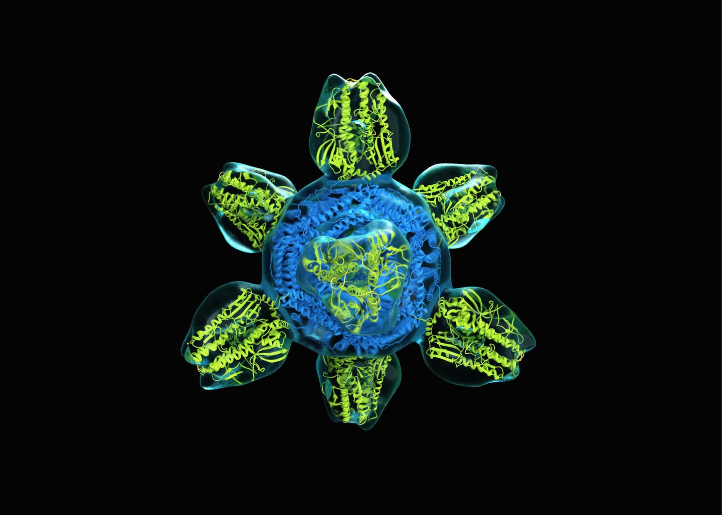 Biology Needs an AI Declaration Biology Needs an AI Declaration