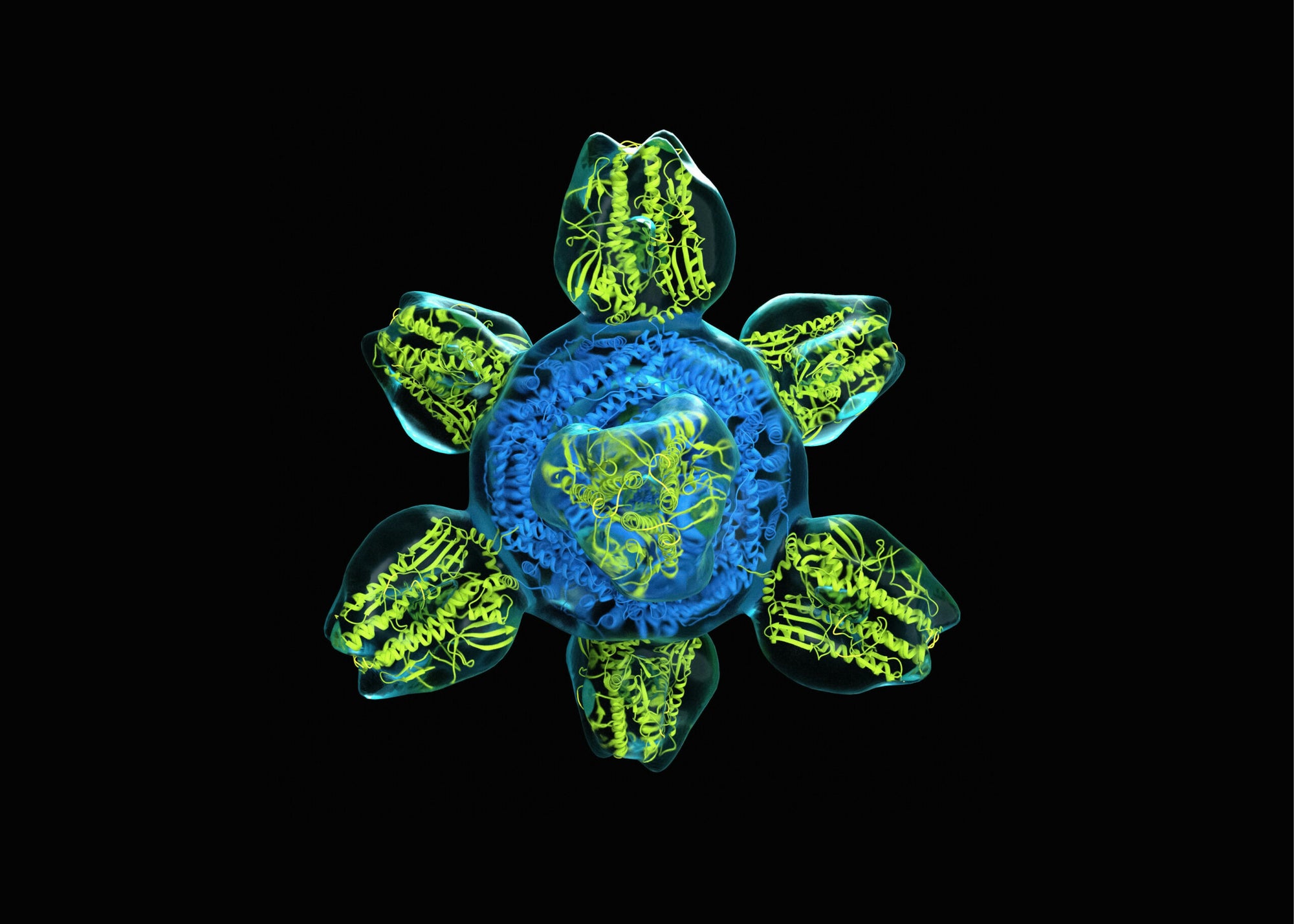 Biology Needs an AI Declaration Biology Needs an AI Declaration