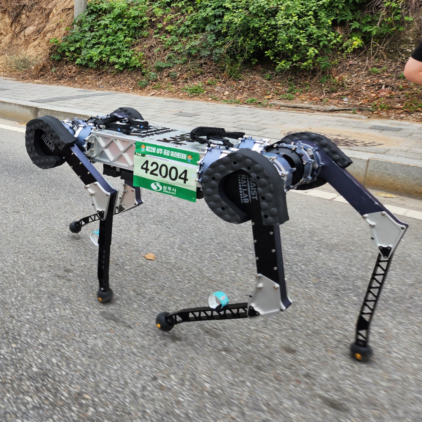 This Robot Dog Crushed a Marathon Without Stopping to Recharge