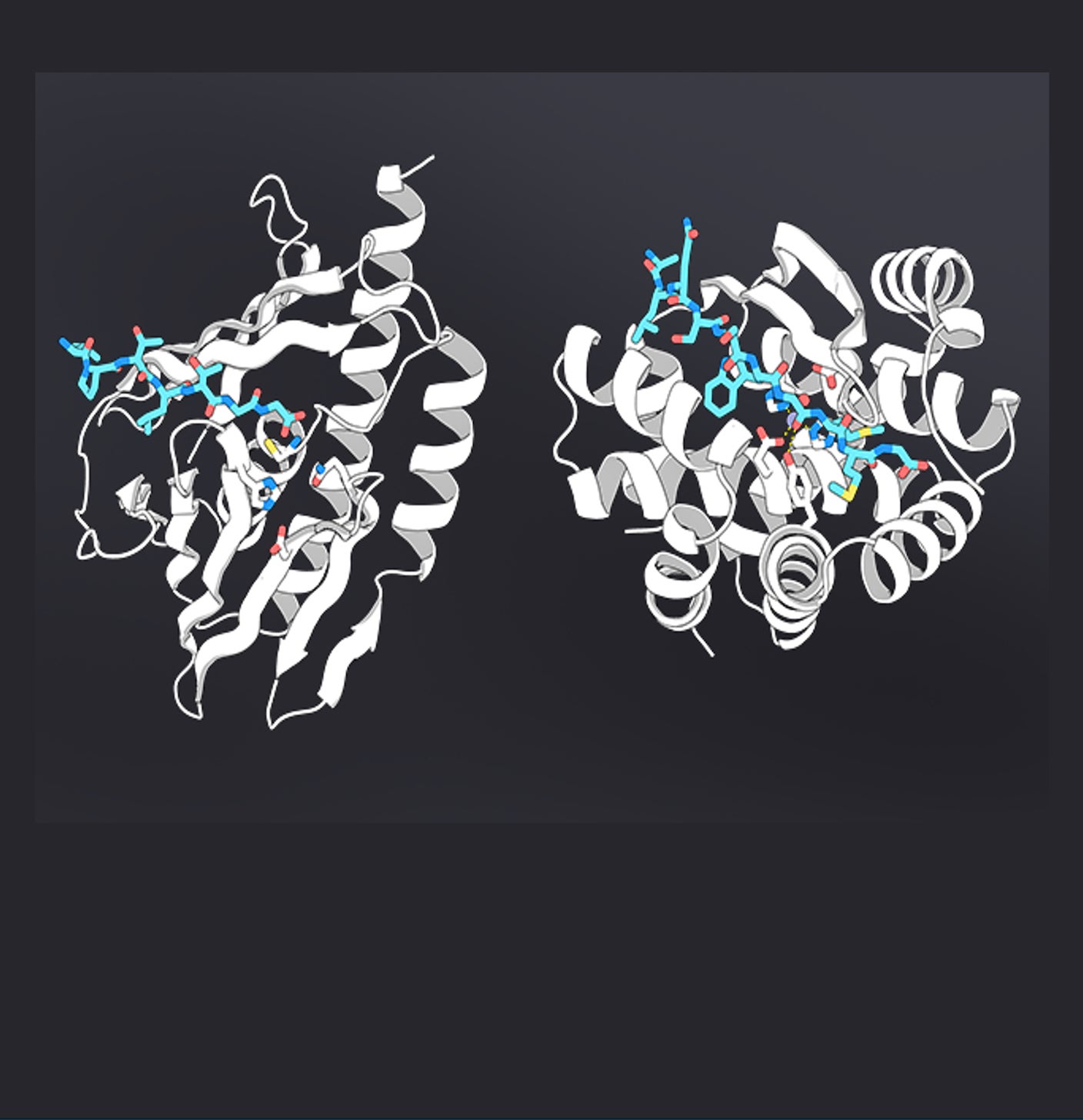 AI-designed proteases by Baker lab