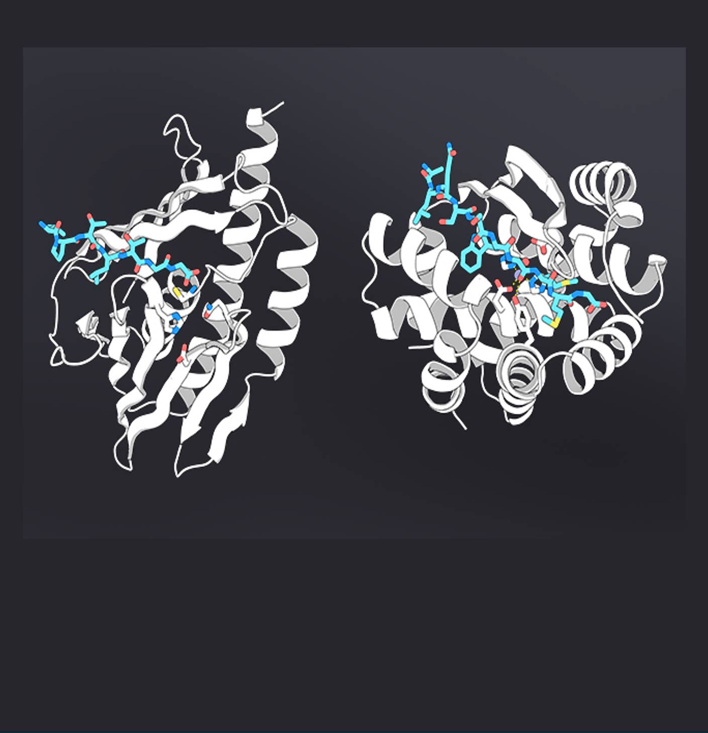 AI-designed proteases by Baker lab