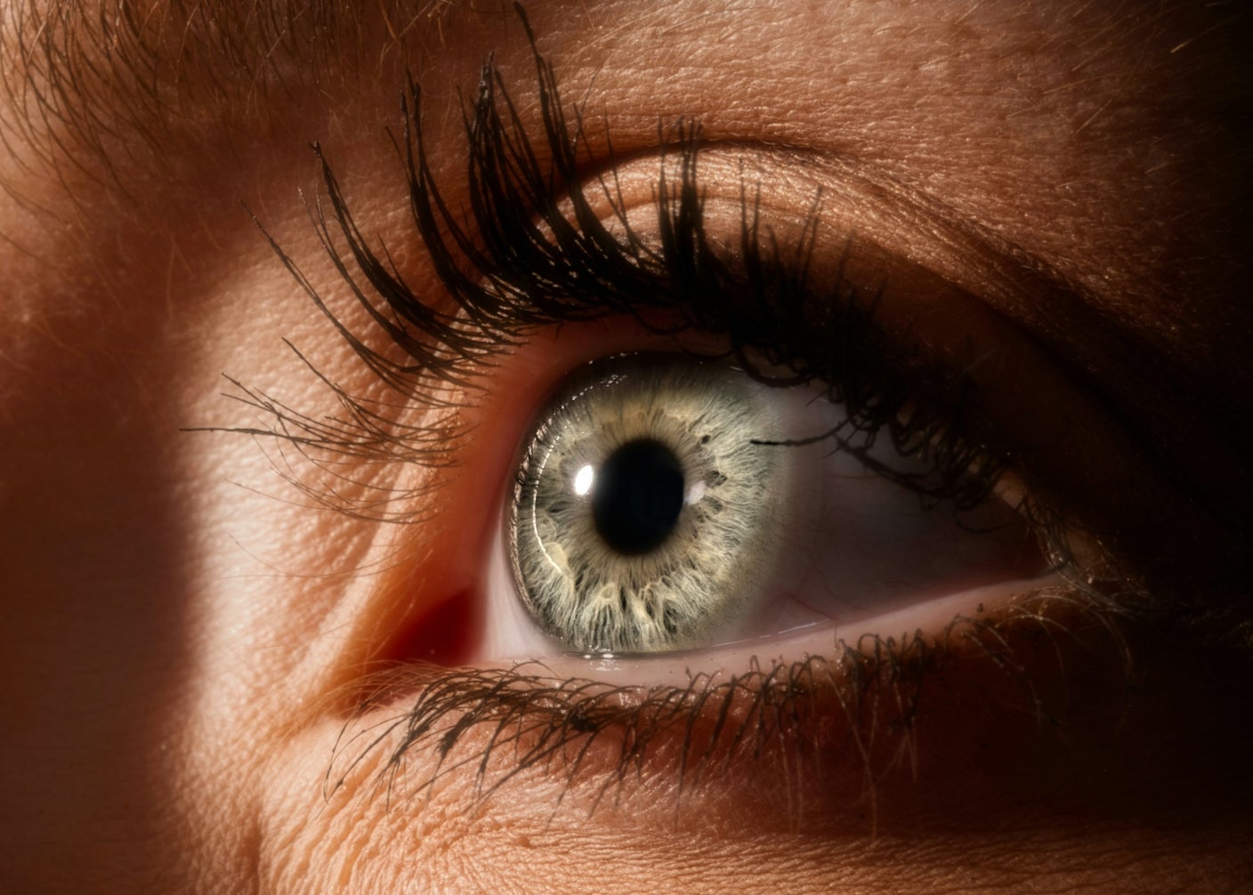 A close up photograph of an eye and dark eyelashes.