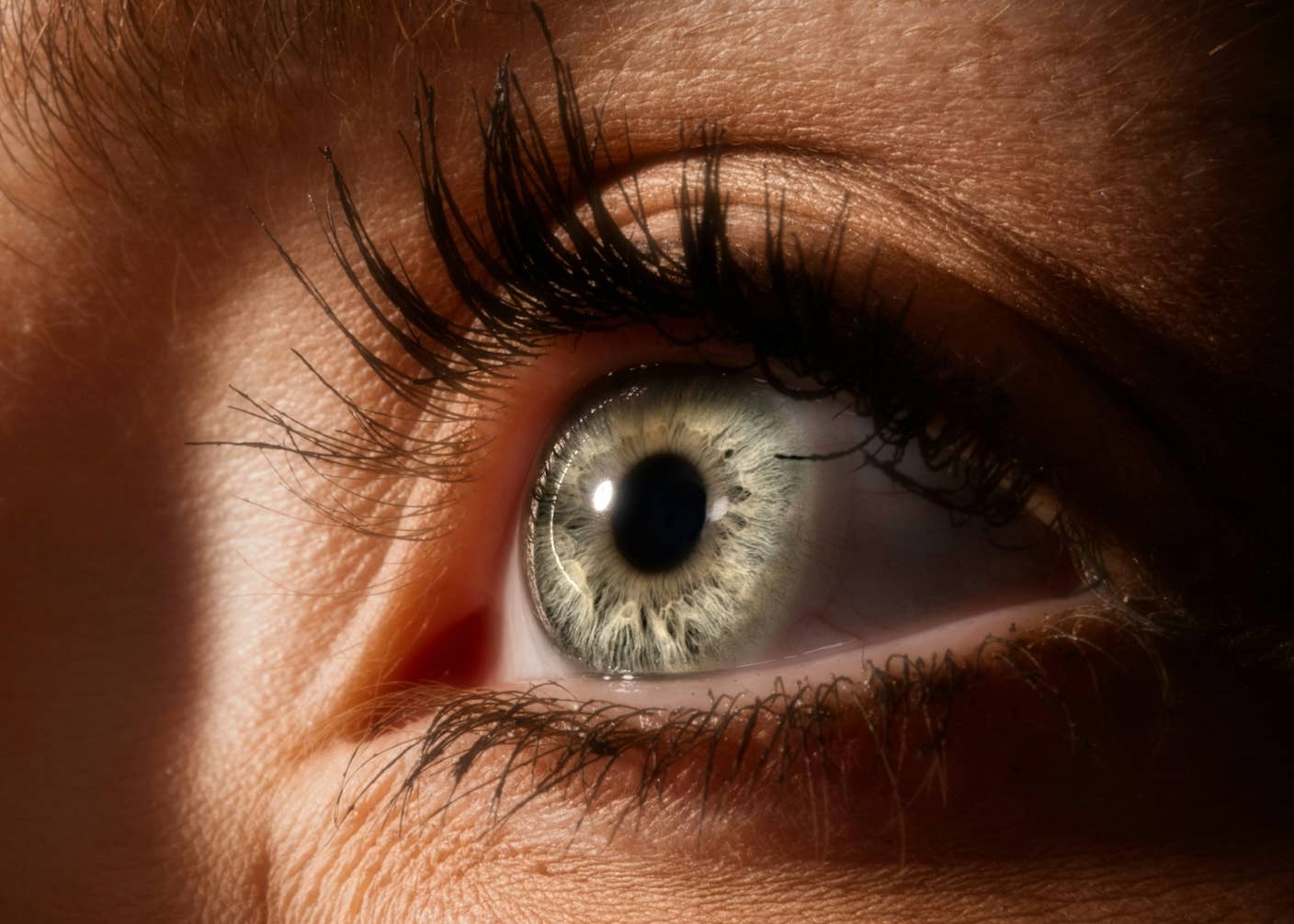 A close up photograph of an eye and dark eyelashes.