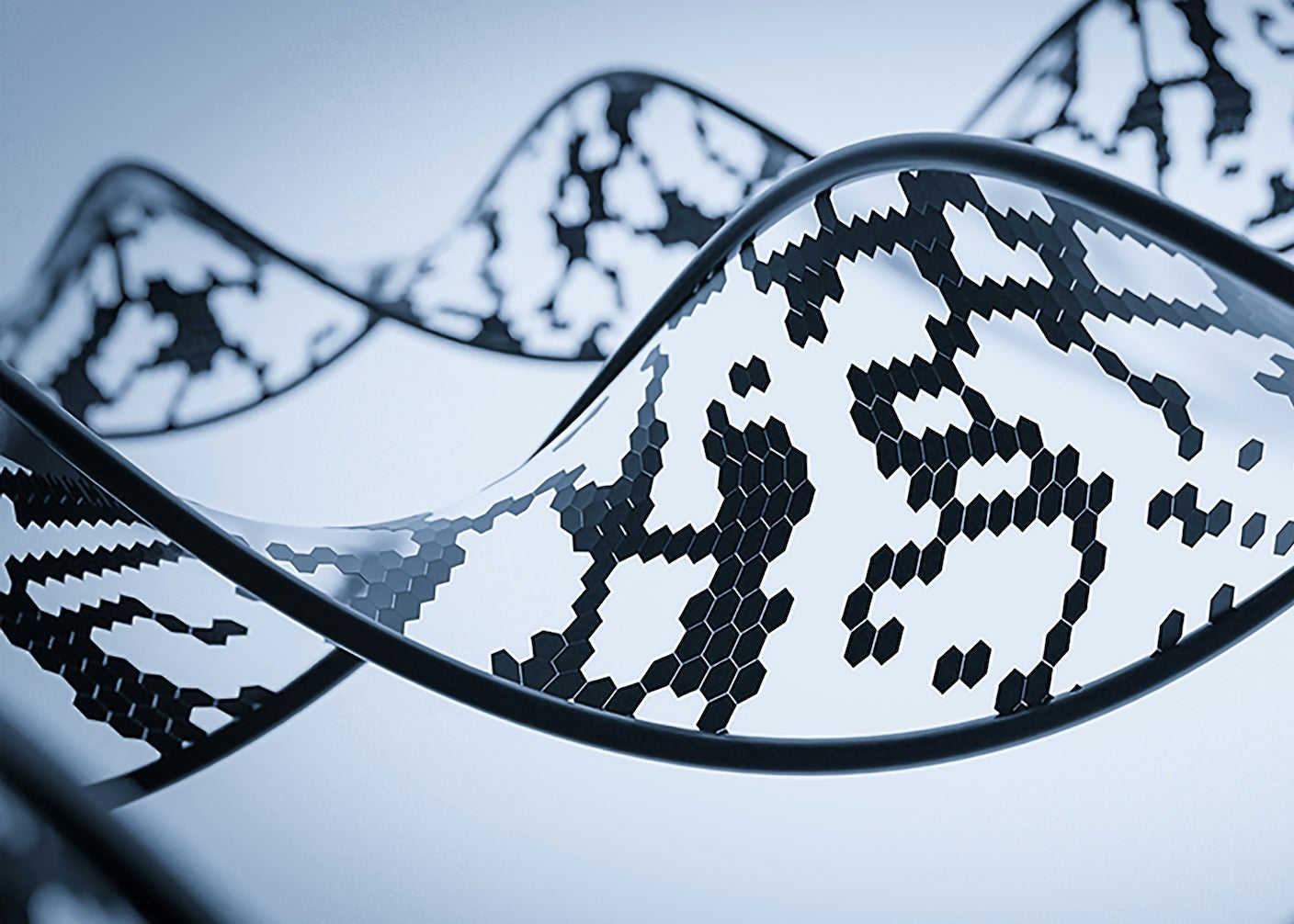 Digital DNA double helix