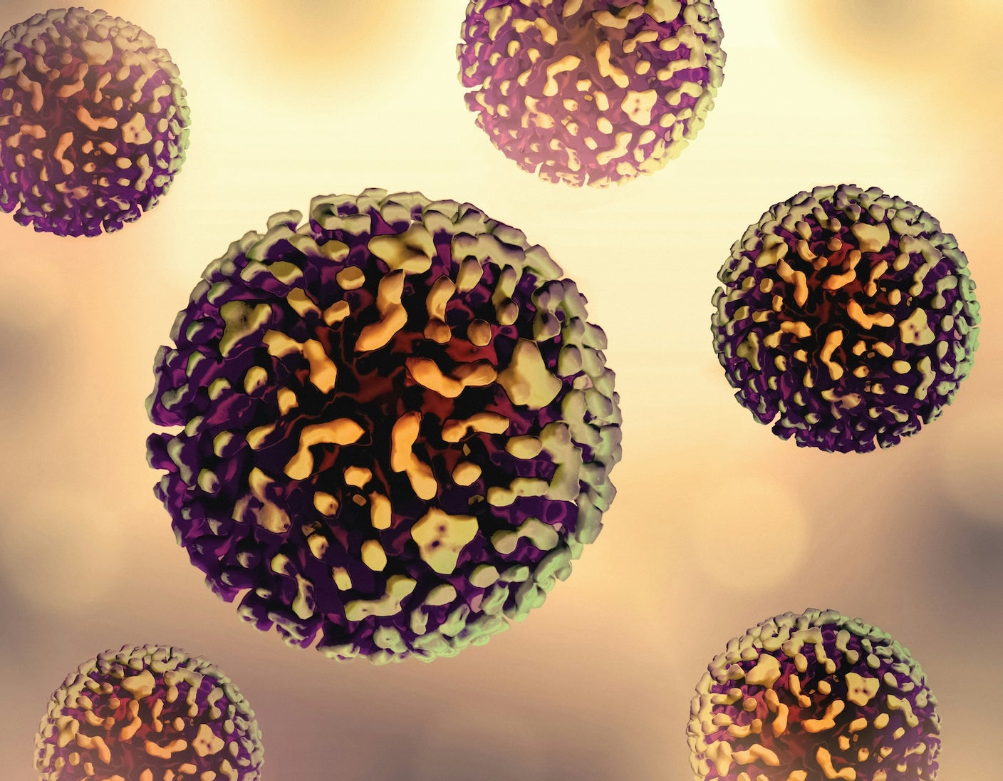 Hepatitis B viruses