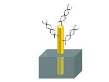 When RNA interacts with the nucleic probes attached to a gold nanowire, an electric current lets the chip know something has been detected.