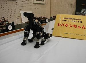 HPI G-Dog Robot sits