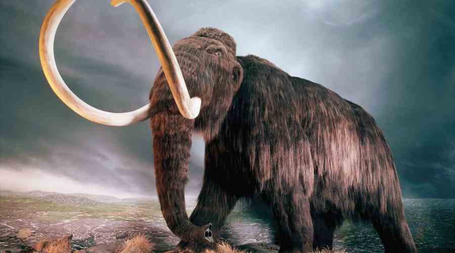 mammoth - Singularity Hub