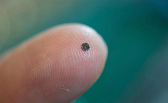tiny-chip-to-travel-arteries (1)
