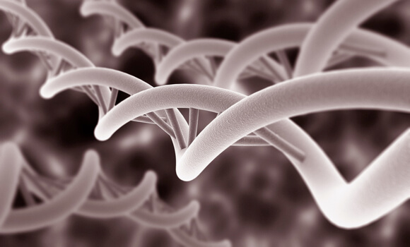 can-dna-nanobots-successfully-treat-cancer-patient-first-human-trial-soon