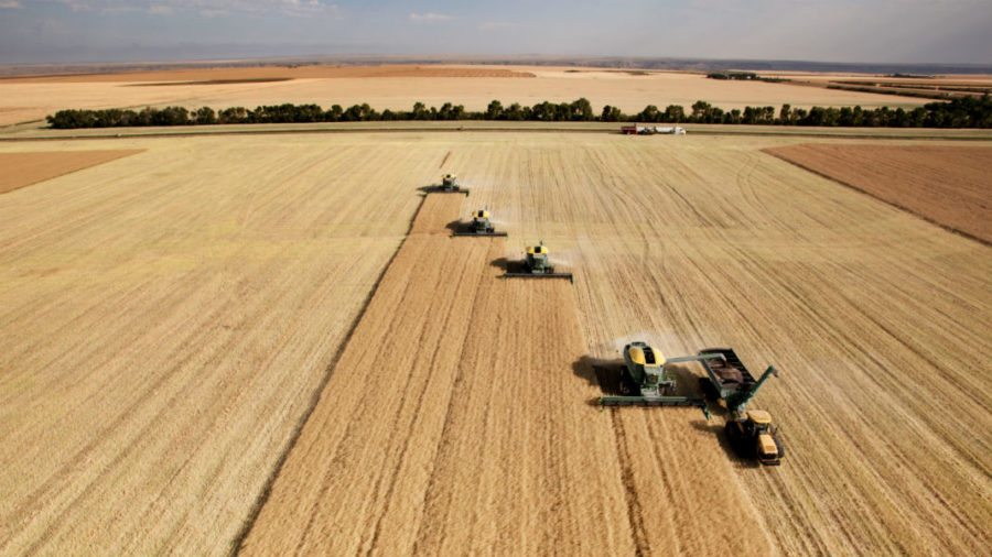 harvesters-combing-on-prairie-landscape