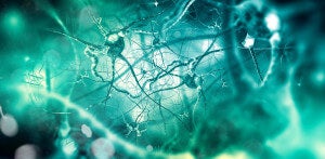 Can Dead Brains Be Brought Back to Life? First Human Study to Find Out