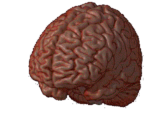 most-detailed-brain-map-yet-1