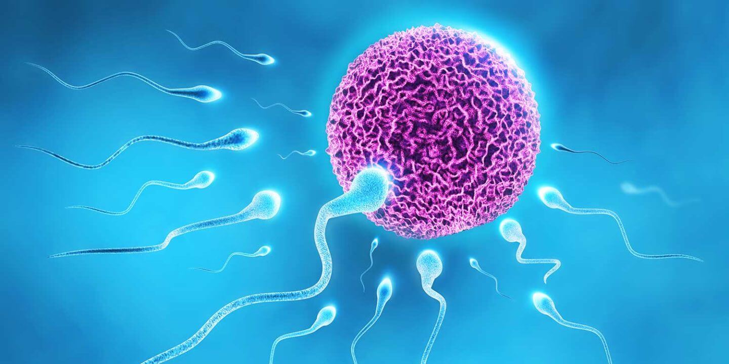 sperm-egg-sexual-revolution-birth-control
