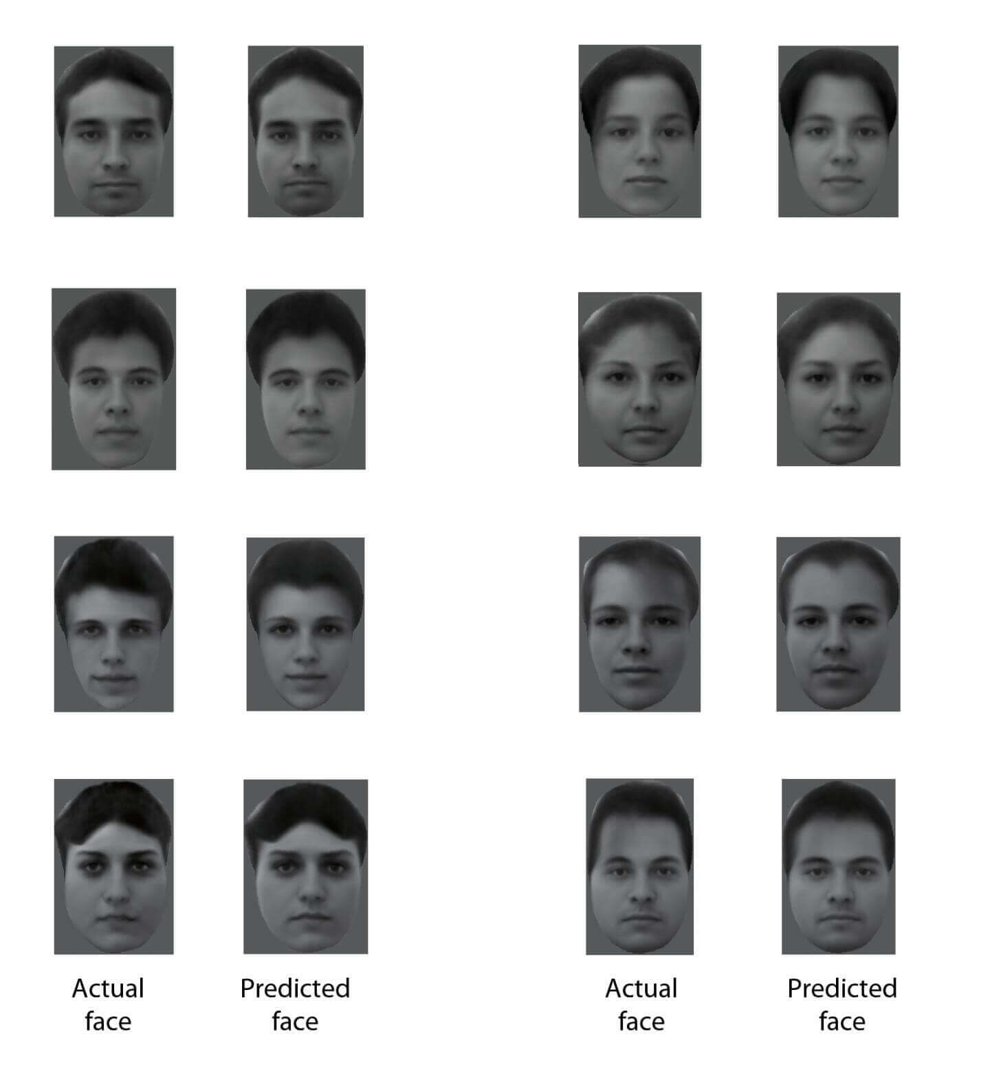 mathematically-generated-faces-facial-recognition-algorithms-Tsao.jpg
