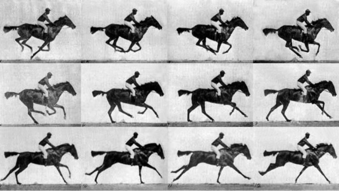 Muybridge-race-horse-gallop