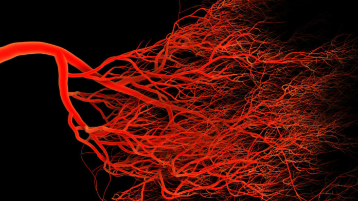 3D-bioprinting-vascularized-tissue-blood-vessels