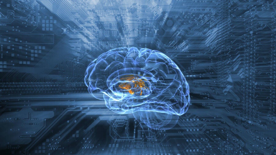 digitalhumanbrainschematic074501399 Singularity Hub