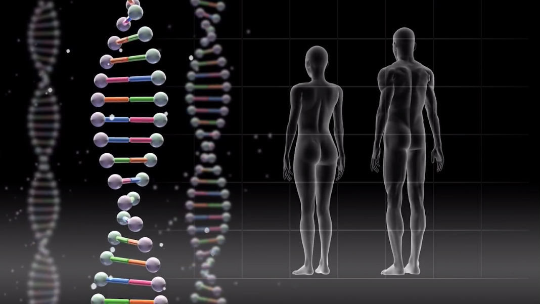 Should We Edit Human Genes What You Need To Know