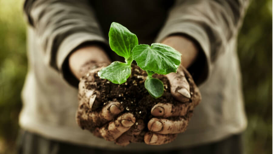 What It Will Take for the World to Keep Getting Better