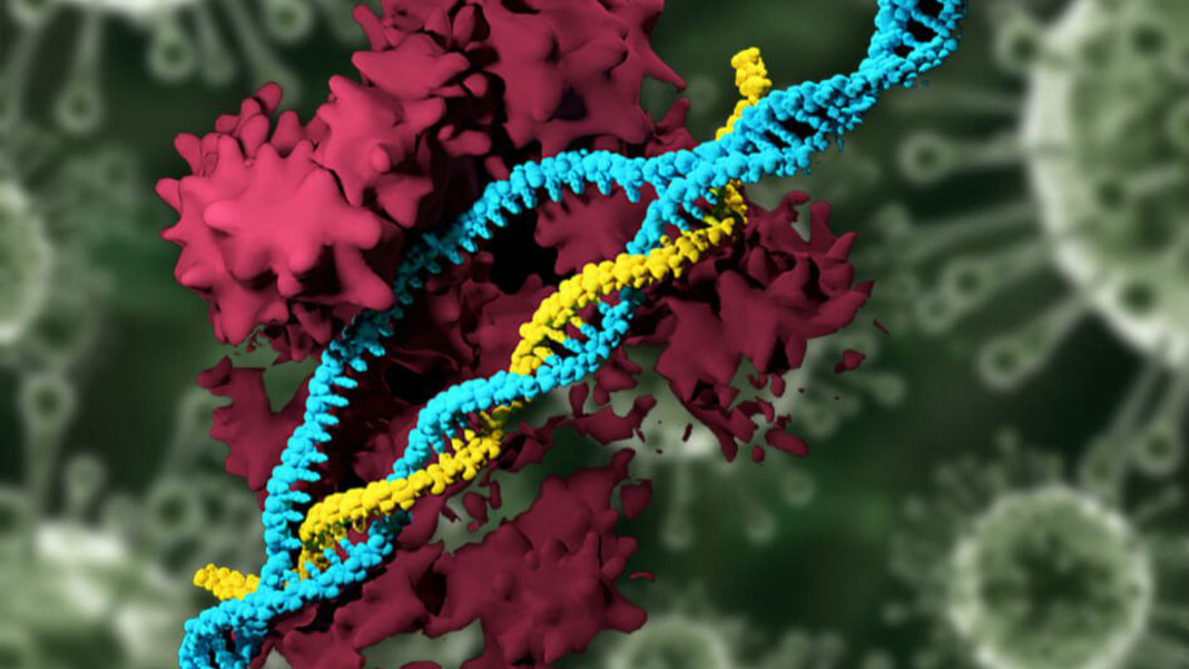 MIT-tech-non-viral-CRISPR-nonviral-genetics