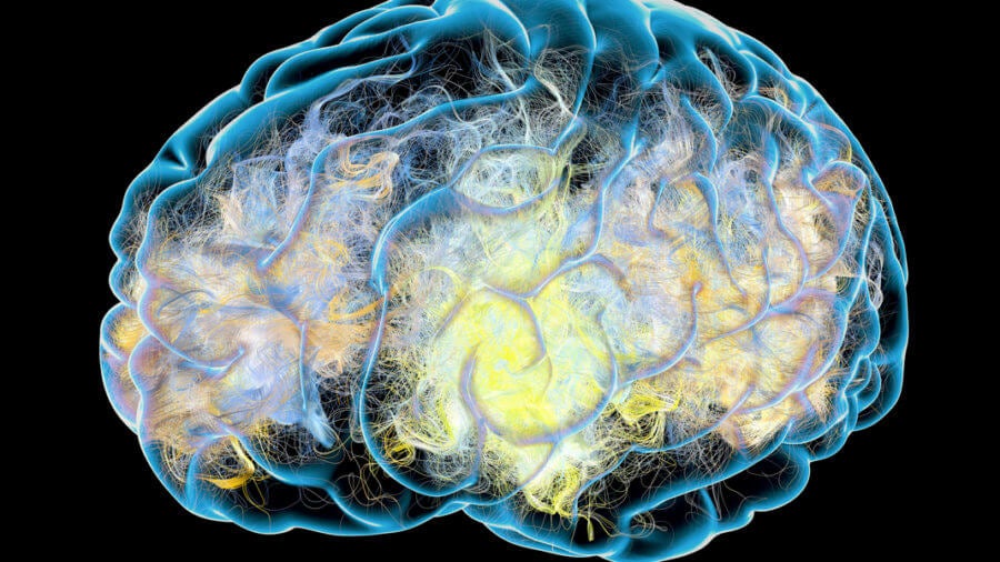 Here's What We Think Alzheimer's Does to the Brain