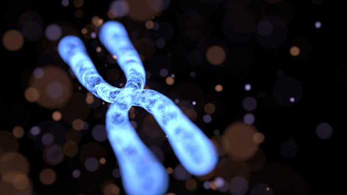 chromosome CRISPR gender