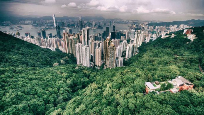 entrepreneurship massive transformative purpose modern city surrounded by forest sea