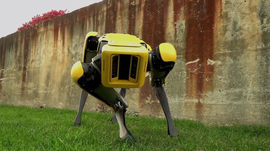 9 Robot Animals Built From Nature's Best-Kept Secrets