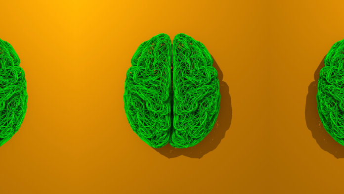 human-brain-deep-learning-stylized-low-poly-brains-illustration