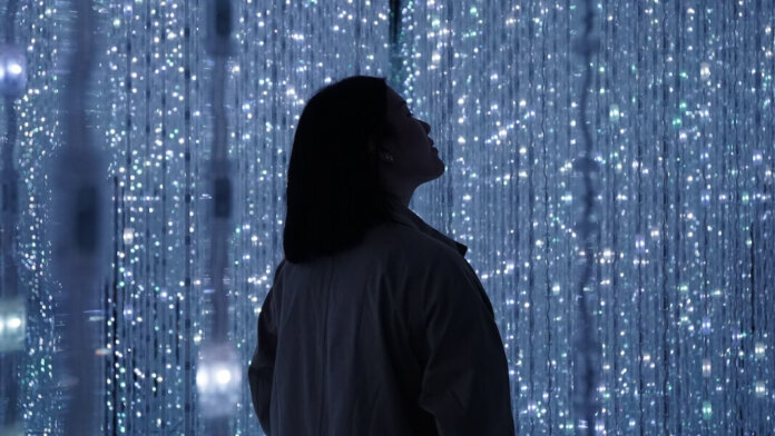 what makes humans unique woman-sillhouette led strings of light art