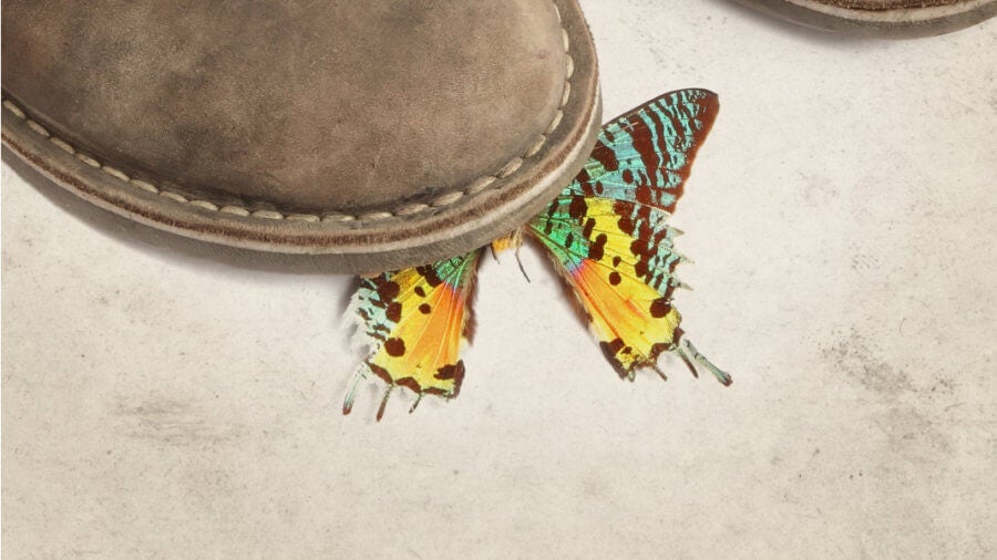 Would Standing on the First Butterfly Really Change the History of Evolution?
