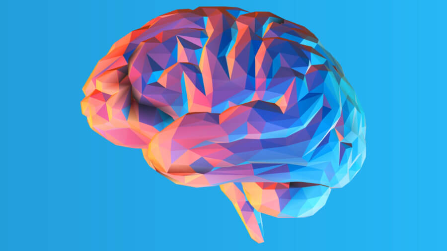 The Startup That Has to Kill You to Preserve Your Brain--Here's the Science Behind the Buzz