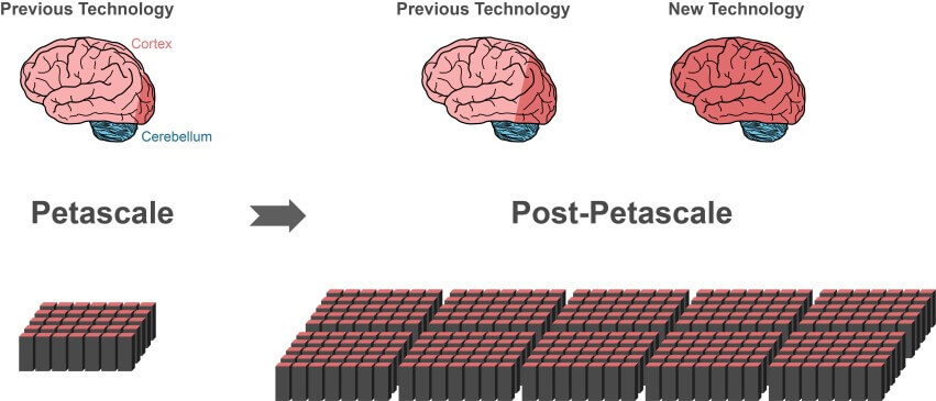 neuroscience-post-petascale-brain-simulation-algorithm-exascale