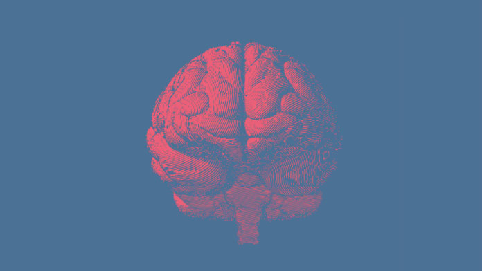 whole-brain-simulation-new-algorithm-pink-engraving-brain-illustration