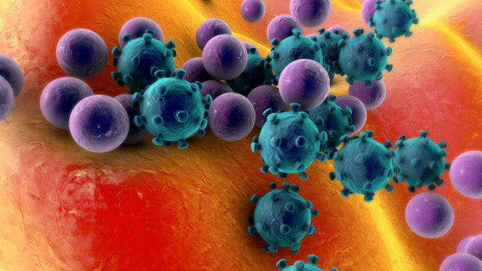 viruses-synthetic-biology-virus-resistant-super-cells-viruses-on-surface