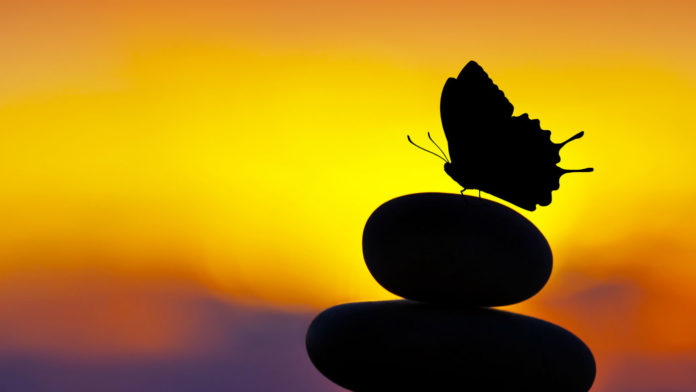 human-longevity-life-extension-stones-balance-butterfly-silhouette