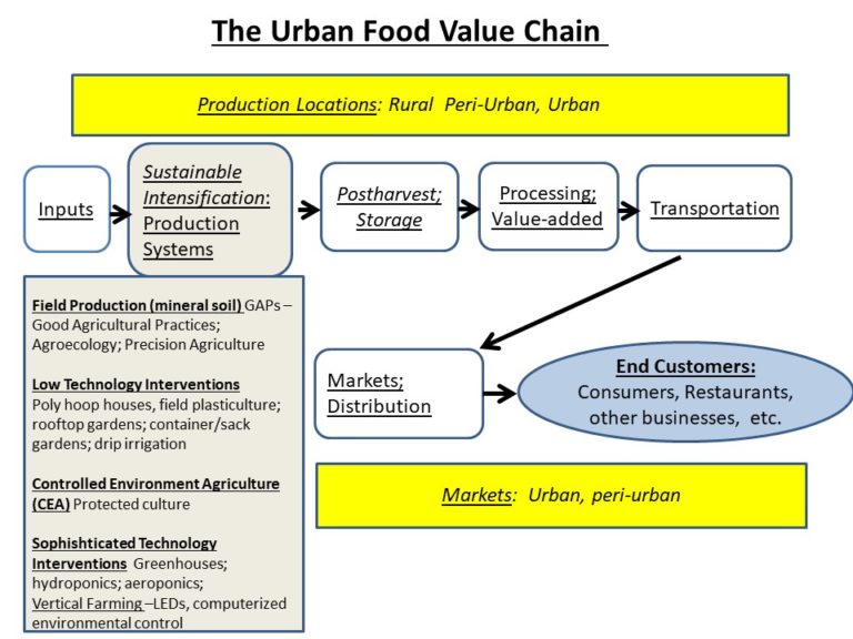 Value Chain Rural Infrastructure Tech Can Sustainably Feed Developing World Cities of the Future. Here’s How