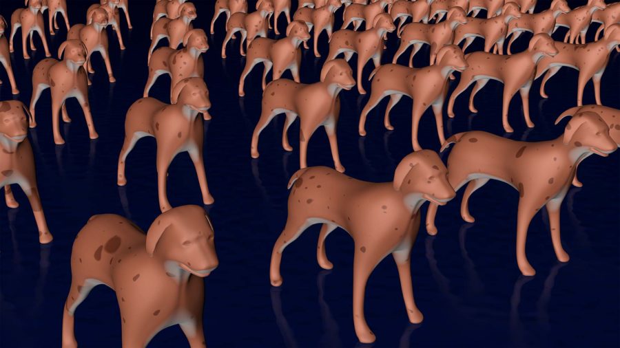 cloned-dogs-front-view-animal-cloning