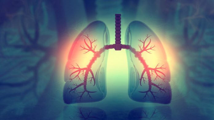 human lungs on scientific background