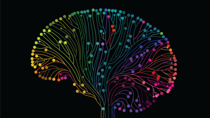 multicolored brain connections