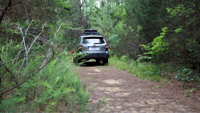self driving car heads into the woods