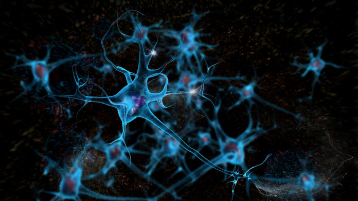 brain cell neurons 3D illustration